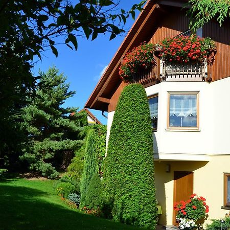 Ferienwohnung Sonnenblick Bischofswerda Exterior foto